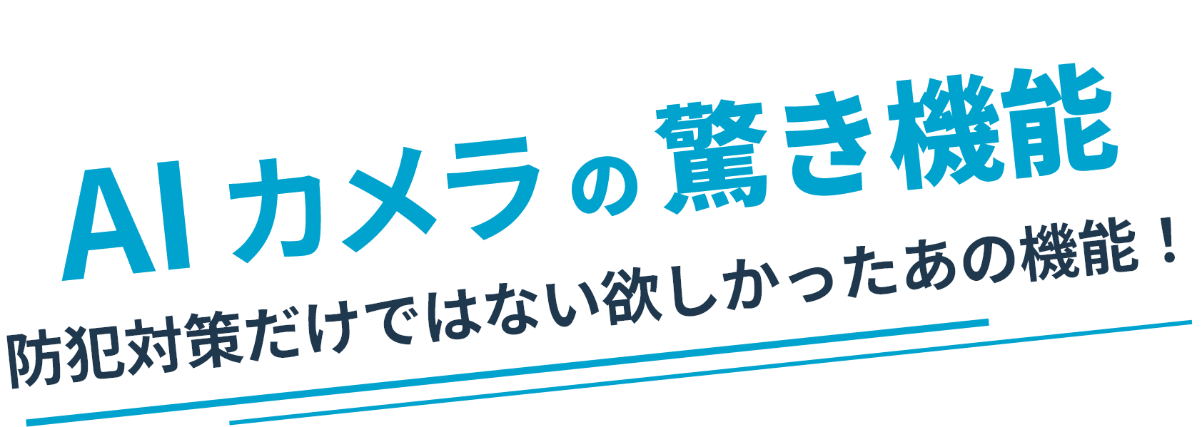 AIカメラの驚き機能　防犯対策だけではないほしかったあの機能！